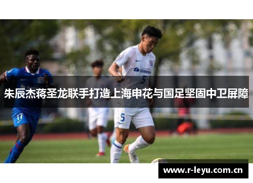 朱辰杰蒋圣龙联手打造上海申花与国足坚固中卫屏障